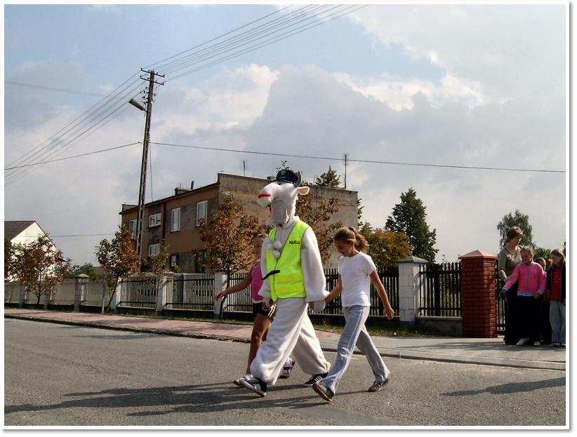 Rok 2006 - Kozioek uczy przepisw ruchu drogowego